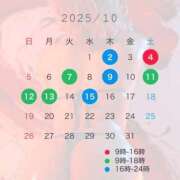 ヒメ日記 2025/09/18 12:20 投稿 ヒビキ いたずらバニーちゃん