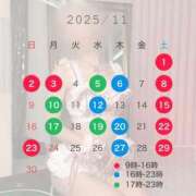 ヒメ日記 2025/11/04 11:30 投稿 ヒビキ いたずらバニーちゃん