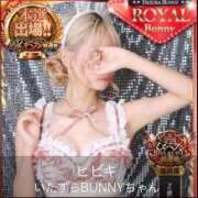 ヒメ日記 2025/11/12 18:30 投稿 ヒビキ いたずらバニーちゃん