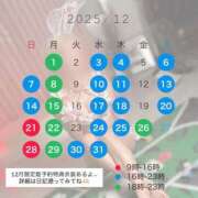 ヒメ日記 2025/11/27 19:50 投稿 ヒビキ いたずらバニーちゃん
