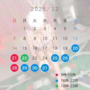 ヒメ日記 2025/12/19 12:30 投稿 ヒビキ いたずらバニーちゃん