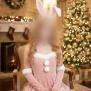 ヒメ日記 2025/12/21 08:34 投稿 ヒビキ いたずらバニーちゃん