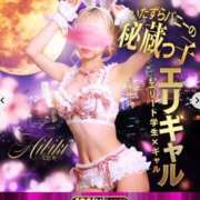 ヒメ日記 2026/02/21 10:20 投稿 ヒビキ いたずらバニーちゃん