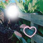 ヒメ日記 2025/03/31 18:33 投稿 かんな 小田原人妻城