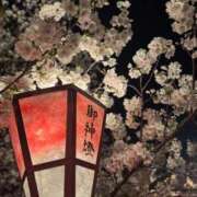 ヒメ日記 2025/04/10 12:33 投稿 かんな 小田原人妻城