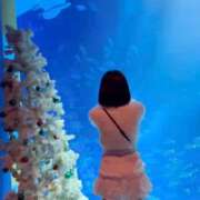 ヒメ日記 2025/11/11 17:31 投稿 こはる それいけ!ヤリスギ学園~舐めたくてグループ横浜校~