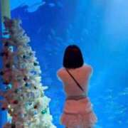 ヒメ日記 2025/11/11 17:44 投稿 こはる それいけ！ヤリスギ学園～舐めたくてグループ横浜校～