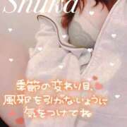 ヒメ日記 2024/12/07 09:08 投稿 しゅうか 西船人妻花壇