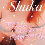 ヒメ日記 2024/12/12 07:16 投稿 しゅうか 西船人妻花壇