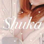 ヒメ日記 2024/12/13 23:31 投稿 しゅうか 西船人妻花壇