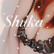 ヒメ日記 2024/12/14 01:29 投稿 しゅうか 西船人妻花壇