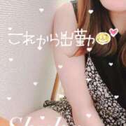 ヒメ日記 2024/12/14 16:04 投稿 しゅうか 西船人妻花壇