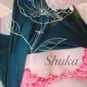 ヒメ日記 2024/12/14 20:40 投稿 しゅうか 西船人妻花壇