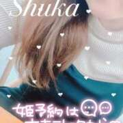 ヒメ日記 2024/12/16 23:43 投稿 しゅうか 西船人妻花壇