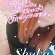 ヒメ日記 2024/12/25 08:02 投稿 しゅうか 西船人妻花壇