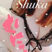 ヒメ日記 2025/01/16 21:33 投稿 しゅうか 西船人妻花壇