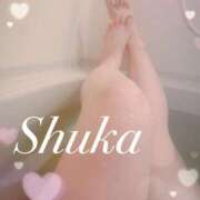 ヒメ日記 2025/01/21 21:05 投稿 しゅうか 西船人妻花壇