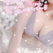 ヒメ日記 2025/01/26 19:02 投稿 しゅうか 西船人妻花壇