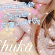 ヒメ日記 2025/02/02 18:42 投稿 しゅうか 西船人妻花壇