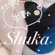 ヒメ日記 2025/02/10 11:35 投稿 しゅうか 西船人妻花壇