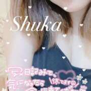 ヒメ日記 2025/02/11 17:31 投稿 しゅうか 西船人妻花壇