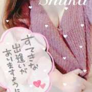 ヒメ日記 2025/02/12 10:02 投稿 しゅうか 西船人妻花壇