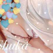 ヒメ日記 2025/02/24 07:30 投稿 しゅうか 西船人妻花壇