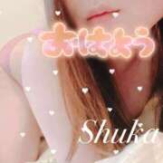 ヒメ日記 2025/02/27 08:01 投稿 しゅうか 西船人妻花壇