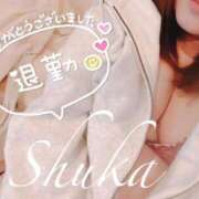 ヒメ日記 2025/03/05 23:30 投稿 しゅうか 西船人妻花壇