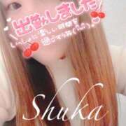 ヒメ日記 2025/03/06 12:16 投稿 しゅうか 西船人妻花壇