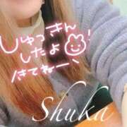 ヒメ日記 2025/03/08 14:02 投稿 しゅうか 西船人妻花壇