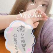 ヒメ日記 2025/03/08 17:13 投稿 しゅうか 西船人妻花壇