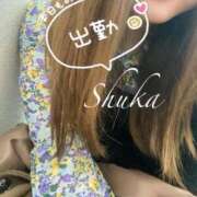 ヒメ日記 2025/03/11 16:56 投稿 しゅうか 西船人妻花壇