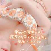 ヒメ日記 2025/03/12 10:15 投稿 しゅうか 西船人妻花壇