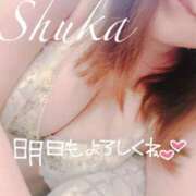 ヒメ日記 2025/03/15 22:31 投稿 しゅうか 西船人妻花壇