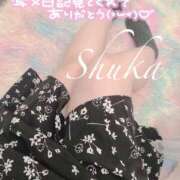 ヒメ日記 2025/03/16 14:23 投稿 しゅうか 西船人妻花壇