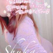 ヒメ日記 2025/04/03 12:15 投稿 しゅうか 西船人妻花壇