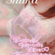 ヒメ日記 2025/04/08 17:03 投稿 しゅうか 西船人妻花壇