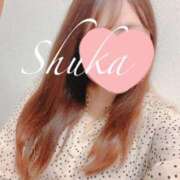 ヒメ日記 2025/04/11 15:09 投稿 しゅうか 西船人妻花壇