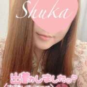 ヒメ日記 2025/04/15 14:56 投稿 しゅうか 西船人妻花壇