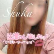 ヒメ日記 2025/04/18 12:06 投稿 しゅうか 西船人妻花壇