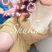 ヒメ日記 2025/04/19 12:09 投稿 しゅうか 西船人妻花壇