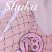 ヒメ日記 2025/04/23 07:45 投稿 しゅうか 西船人妻花壇