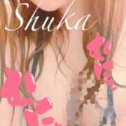 ヒメ日記 2025/04/25 16:02 投稿 しゅうか 西船人妻花壇