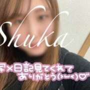 ヒメ日記 2025/04/28 23:08 投稿 しゅうか 西船人妻花壇