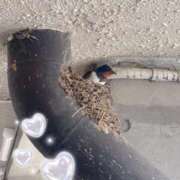 ヒメ日記 2025/04/29 13:56 投稿 しゅうか 西船人妻花壇