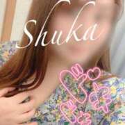 ヒメ日記 2025/05/08 15:09 投稿 しゅうか 西船人妻花壇