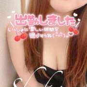 ヒメ日記 2025/05/09 15:03 投稿 しゅうか 西船人妻花壇