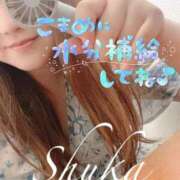 ヒメ日記 2025/05/21 14:59 投稿 しゅうか 西船人妻花壇