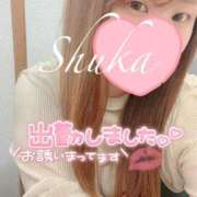 ヒメ日記 2025/05/23 14:58 投稿 しゅうか 西船人妻花壇